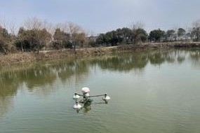 桂江，路亚钓鱼的天堂（探秘平乐县桂江的丰富钓鱼资源）