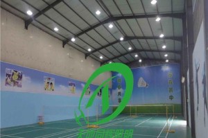 如何选择和投资乒乓球灯具（关键点揭秘，让你轻松打造专业级乒乓球场馆）