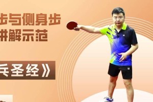乒乓球步法与技巧全解析（精准掌握步法，提高球技水平）