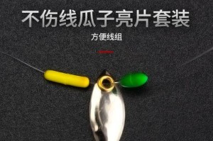 用路亚助投器瓜子亮片钓鱼（轻松捕获丰富鱼群，路亚钓鱼新技巧大揭秘）