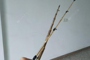 用路亚竿钓坑的技巧与注意事项（掌握关键技巧，提升钓鱼成功率）