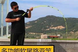 码头钓鱼选择适合的路亚竿（挑选路亚竿要注意的关键因素和技巧）