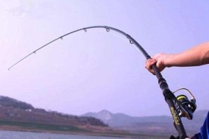 海边钓鱼玩路亚还是海竿？（选择正确的钓鱼装备，让你的海边钓鱼之旅更加精彩）