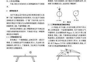 乒乓球项目的分类及特点（探究乒乓球项目的不同分类及其特点，深入了解这项运动的魅力）
