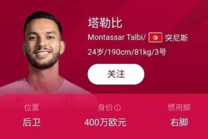 威尔士世界杯历史成绩单（威尔士足球队在世界杯的辉煌与挑战）