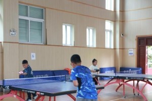 乒乓球底线球技巧与战术探究（以攻为主，以防为辅，打出底线球的精彩）