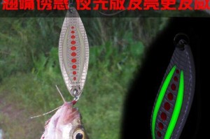 夜钓鱼耳选择与技巧（如何选择适合的路亚竿夜钓装备）