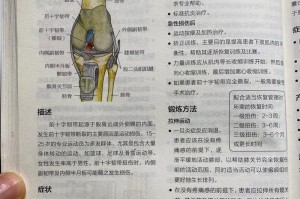 篮球和足球（一场比较两种运动技巧的较量）