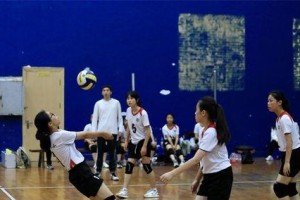 小学生排球开球动作要领（打造优秀的开球基础，助力小学生排球训练）