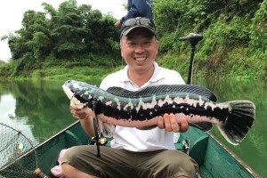 钓鱼大师选择不以路亚为主题的原因（探讨钓鱼大师为何忽略路亚技术的重要性）