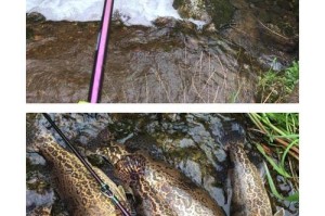 掌握用路亚钓鱼竿钓鲶鱼的技巧（提升钓鲶技能，享受更多成功乐趣）
