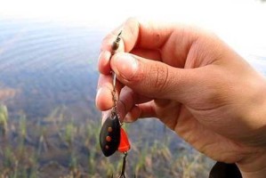 深入探讨以海里路亚钓鱼需要使用漂吗的问题（揭秘海里路亚钓鱼漂的作用及选择技巧）