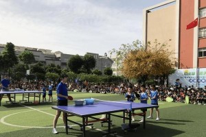 牛街小学乒乓球教学的发展与成就（培养学生乒乓球兴趣的有效途径及取得的成果）