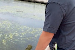 别人用路亚竿出海钓鱼的经验分享（探秘路亚竿在海钓中的应用技巧与心得）
