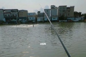 为什么路亚钓法不适合钓鱼新手？（探讨路亚钓法对于缺乏经验的钓鱼爱好者的挑战和不利因素）