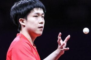 乒乓球男单巅峰选手的辉煌征程（探索著名选手的拼搏与成长）