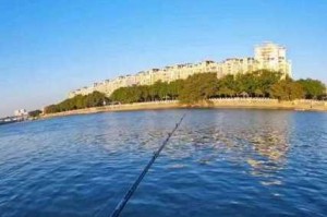 大杨哥手把手教你掌握路亚钓鱼技巧（轻松学习，从小白到高手的钓鱼之路）