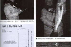 以路亚竿能钓鱼的水层选择（选择适合的水层让你的路亚钓鱼更加成功）