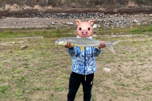 河里面路亚钓鱼的优势与劣势（河里面路亚钓鱼的技巧和注意事项）