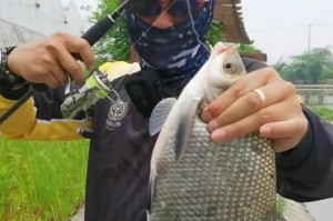 菜地能钓鱼吗？——探讨以路亚人的菜地钓鱼的可能性（菜地钓鱼，一种新奇而有趣的娱乐方式！）