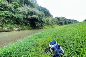 雨刮风下适合打路亚钓鱼吗？（探讨在恶劣天气条件下打路亚钓鱼的可行性）