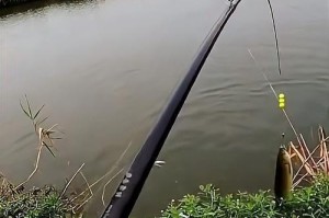 路亚钓鱼10分钟盘老板的成功秘诀（揭秘路亚钓鱼行业的领军者，成功关键在于专注）