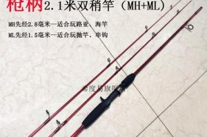 以路亚能否上串钩钓鱼？（揭秘路亚钓法的优势与限制，以及上串钩的实用性）