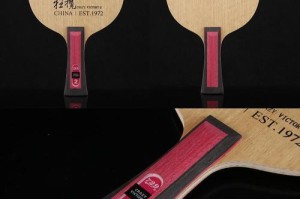 横拍乒乓球底板打法的优势与技巧（掌握横拍乒乓球底板打法，提升比赛竞争力）