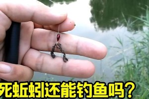路亚双钩挂蚯蚓钓鱼的线组技巧（提高钓鱼成功率的专业线组配置及操作技巧）