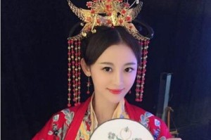 乒乓球女神刘洁（坚持、努力、勇敢、成功）