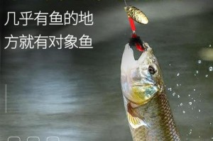 如何选择适合在河里钓鱼的路亚杆（初学者必备知识，从选购到使用一网打尽）