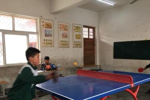 乒乓球进入小学考试，挑战孩子们的技巧和反应能力（培养孩子们的运动技能，乒乓球成为小学考试的一部分）