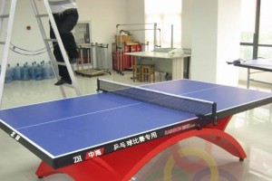 探秘乒乓球案的长宽高（揭秘乒乓球案的尺寸规格，长宽高全解析）
