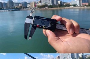 亚路竿钓鱼技巧详解（轻松掌握不炸线的亚路竿钓鱼技巧）