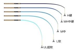 新手如何使用路亚竿钓鱼（掌握关键技巧，轻松享受钓鱼乐趣）
