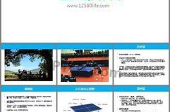 乒乓球教学基础与实战技巧（提升乒乓球技术的关键要点）