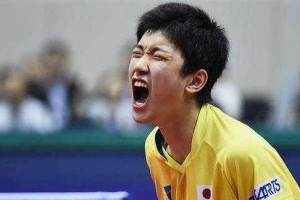 乒乓球的难度与日本评价（揭秘乒乓球在日本的高难度及其影响）
