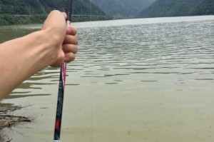 秋冬路亚钓鱼指南（掌握最佳钓鱼时机，享受优质的秋冬路亚钓鱼之旅）