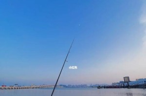 以路亚竿钓鱼的最佳装备选择（探索路亚竿装备的最佳搭配与使用技巧）