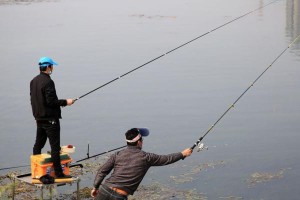 探寻路亚桥下的钓鱼黄金时刻（探寻路亚桥下的最佳垂钓时间和技巧）