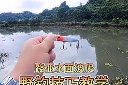 阴雨天路亚钓鱼的乐趣（如何在阴雨天利用路亚技巧钓到丰收）