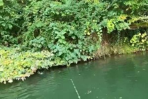 通江路亚钓鱼资源丰富，成为钓鱼爱好者的天堂（探索通江路亚钓鱼资源，享受钓鱼的乐趣）