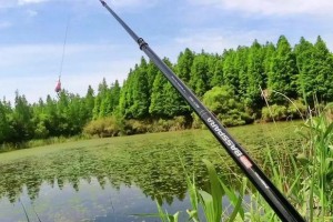 以路亚竿也可海上钓鱼（探索路亚技术在海洋中的威力）