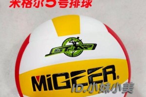 中考排球动作技术要领（掌握中考排球技巧，助力取得好成绩）