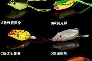 探讨以路亚水浑的饵料选择与技巧（钓鱼专家分享以路亚水浑的有效饵料和使用技巧）
