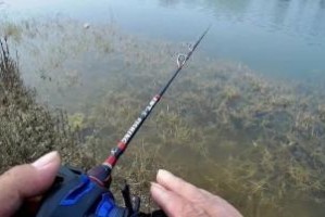 探索路亚钓鱼的最佳时间选择（挑选最适合路亚钓鱼的月份和技巧，以提升钓鱼体验）