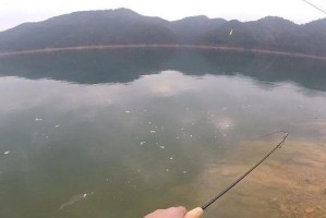 以路亚杆钓鱼需要打窝吗？（探讨在路亚钓鱼中是否需要使用打窝技巧）