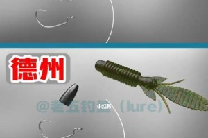 路亚钓鱼新手入门（探索路亚钓鱼的世界，从选线开始）