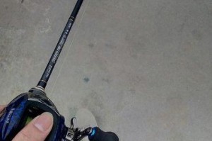 雨天纺车轮路亚钓鱼技巧大全（掌握关键技巧，提高钓鱼成功率）