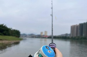 路亚钓鱼线材选择指南（选择适合路亚钓鱼的线材，提升钓鱼效果）